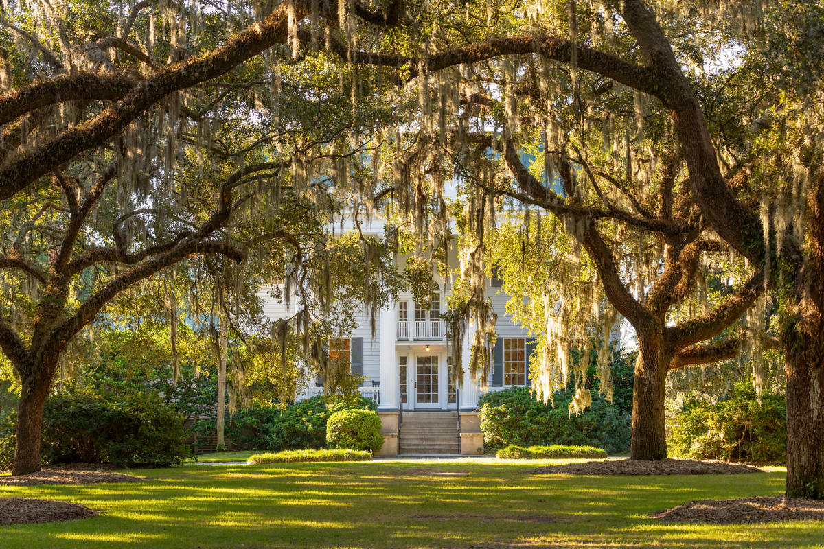 Historic white mansion framed by large oak trees draped in Spanish moss, with sunlight filtering across the lawn.